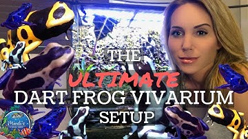 The Ultimate Dart Frog Vivarium Setup + Waterfall - Start to Finish - Mindi