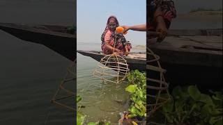 Grandmother’s Crazy Secret Fishing Method 02 #fishing #fishinglife