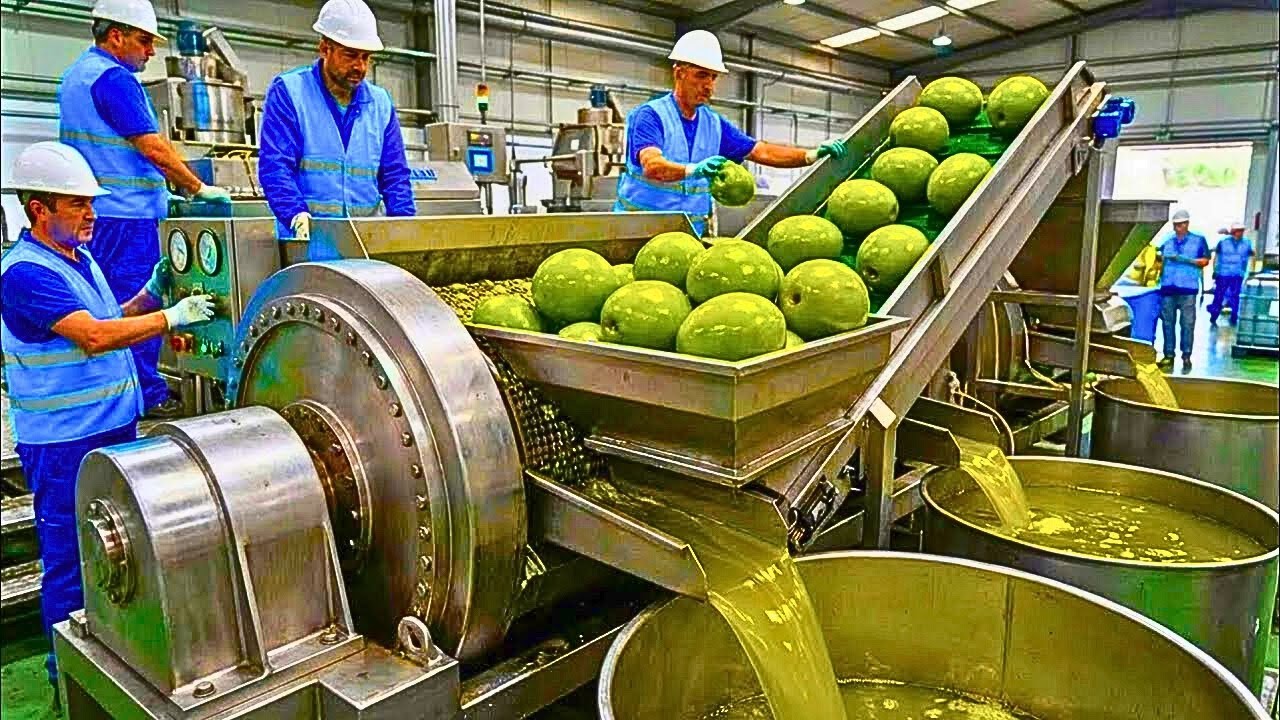 Inside the Modern Olive Oil Factory: How Extra-Virgin Olive Oil Is Made  (Full Process)