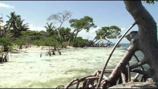 Gladden Caye Brad Paumen