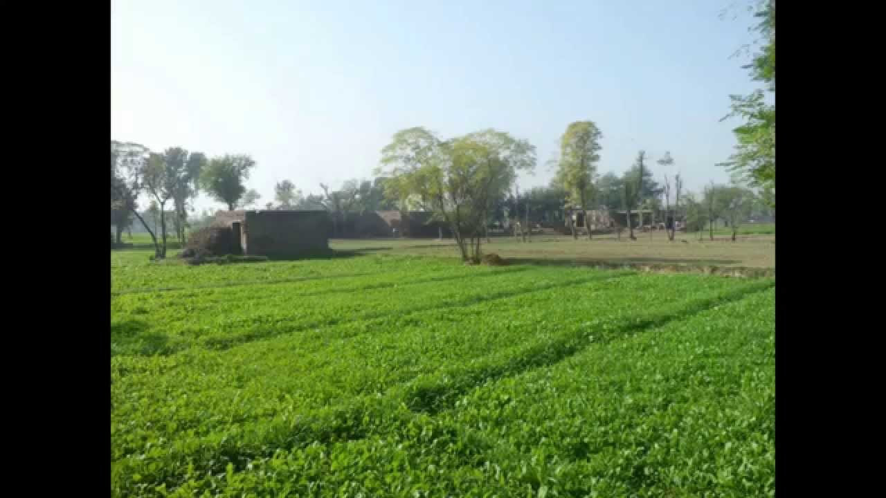 Saghar Pur Mera Sohna Pind