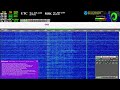 The Buzzer (4625khz) - Live