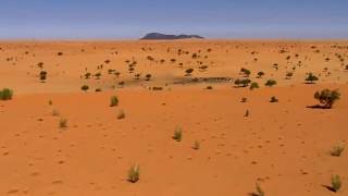 Desert and life of blue mane THE TUAREGS