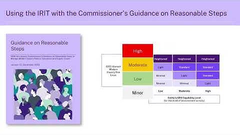 Guidance on Reasonable Steps (GRS) Resource: Using the Inherent Risk Identification Tool (IRIT)