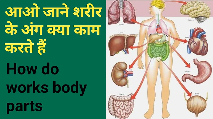 शरीर के अंग कैसे काम करते हैं |Types Of Body Parts | How Do Body Parts Work | #Primary Learner#