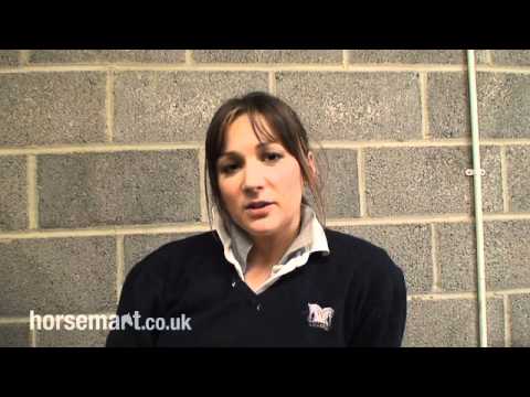 How to become a British Horse Society instructor