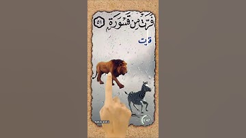 (كأنهم حمر مستنفرة فرت من قسورة) سورة المدثر