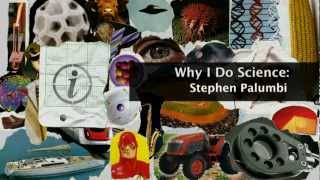 Why I Do Science: Stephen Palumbi - KQED QUEST