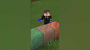 Minecraft Life Hacks you Should Try.mp4