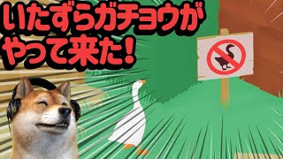 Untitled Goose Game #1 | Goose Game is not bad screenshot 2