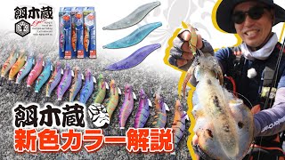 スケスケボディの餌木蔵NEWカラー徹底解説（Vish ザ・グレート・ヒロセマンの餌木蔵劇場vol.3）