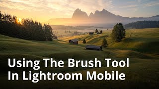 Quick Tips On How To Use The Brush Tool In Lightroom Mobile