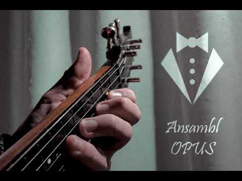 Ansambl Opus i