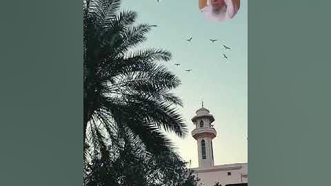 تلاوة نجدية جميلة للشيخ عبدالعزيز العيدان رحمه الله