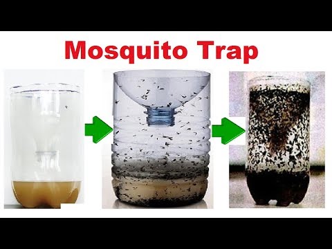 Mosquito Trap | How to Make a Home Made Mosquito | Easy and Effective | Eco Friendly Mosquito