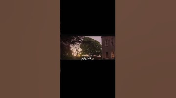 ﴿مُّحَمَّدٌ رَّسُولُ اللَّهِ وَالَّذِينَ مَعَهُ أَشِدَّاءُ ﴾تلاوة خاشعة بصوت القارئ اسلام صبحي 🌿💗