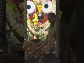 Jay jagannath 🙏🏻 #shortvideo