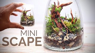 How to make a mini scaped terrarium in a jar