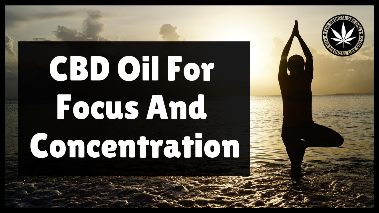 Does CBD Help Focus? - 📷 Learn How To use Cbd For Focusing! 🔥