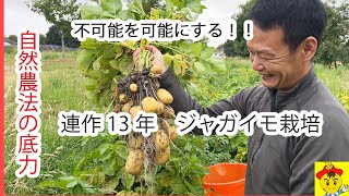Natural farming 自然栽培 ニンニク ジャガイモ 食養生 Natural farming 自然栽培 ニンニク ジャガイモ 食養生