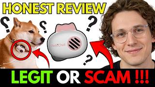 PETTICHAT REVIEW (2026) : CAN AI ACTUALLY TALK TO YOUR DOG? – SHOCKING RESULTS!