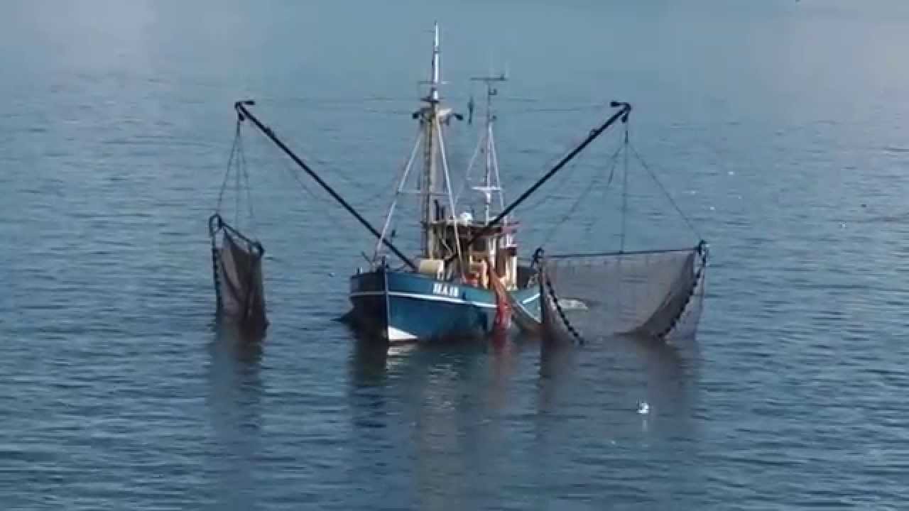 Vissersboot op de waddenzee / Fishing boat on the Wadden Sea /Barco de 