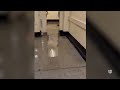 Inundaciones destapan controversia en cárcel del condado de Fulton