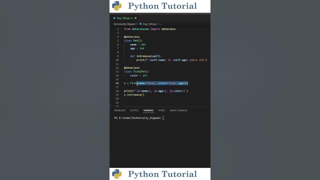 Dataclass inheritance in python python tutorial youtube