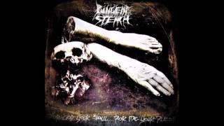 Pungent Stench- For God Your Soul... for Me Your Flesh 1990 (FULL ALBUM) (VINYL RIP)