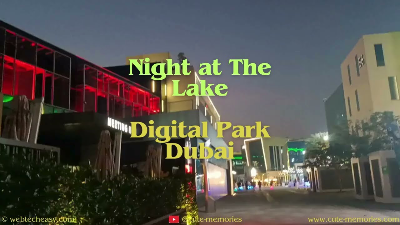 Night view at Digital Park the lake side near Radisson Red Hotel Dubai #thelake #dubai #travel