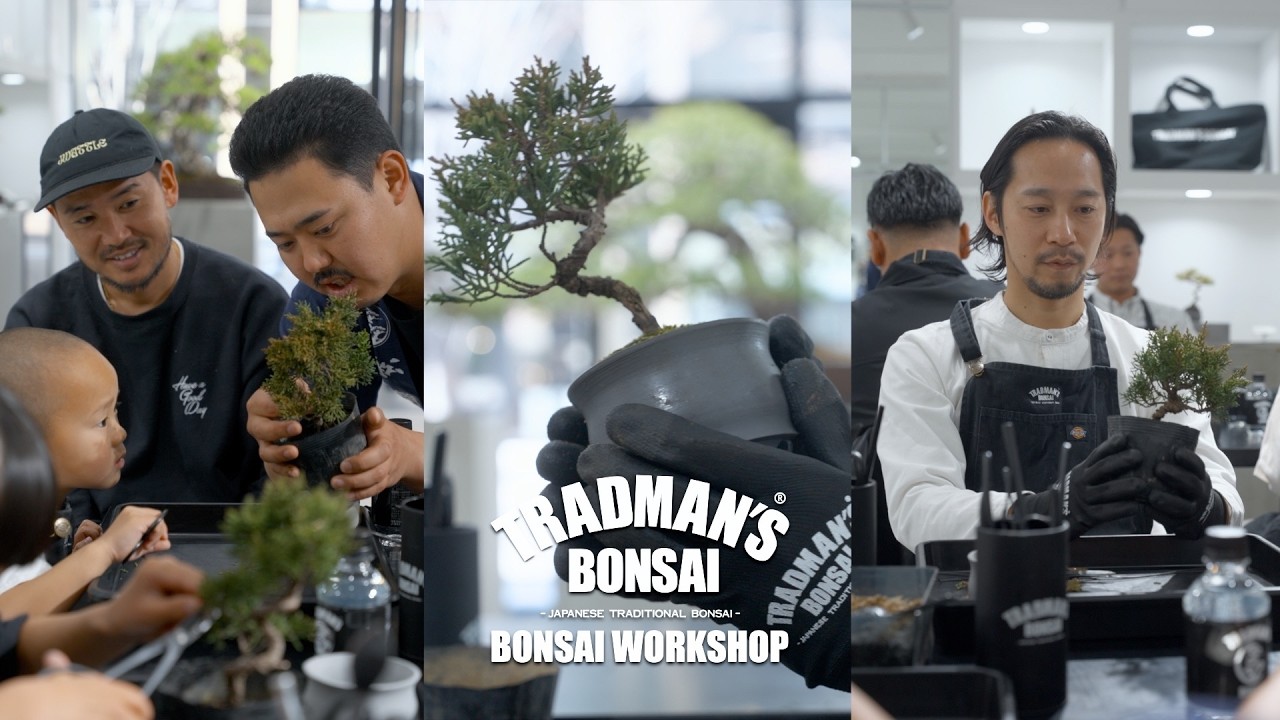 TRADMAN'S BONSAI｜WORKSHOP - YouTube