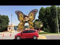 Как провести время в Дубае Сад чудес и Сад бабочек, Дубай  Dubai Butterfly Garden