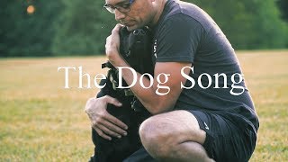 The Dog Song By Dhani Harrison Netflixs Docuseries Dogs Main Theme