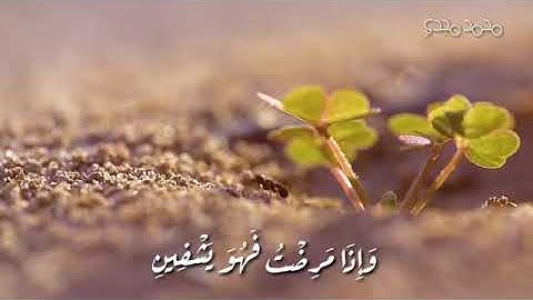 الَّذِي خَلَقَنِي فَهُوَ يَهْدِينِ  78   سورة الشعراء    الشيخ عبدالباسط عبدالصمد
