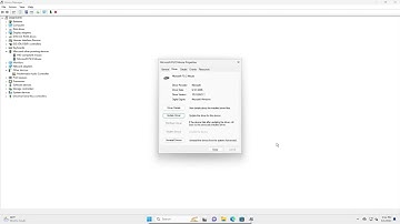 How to fix Middle Mouse Button Not Working In Windows 11 | 2024