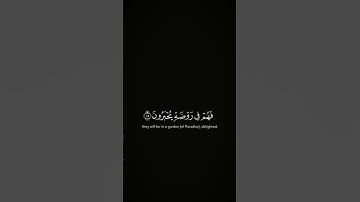 لن اطلب منك شيء فقط احترم القران الكريم 🙂
