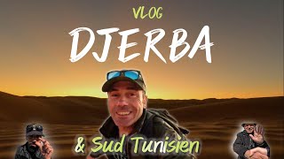 Djerba et ses alentours:  MES 10 BONS PLANS!!🌞🐫