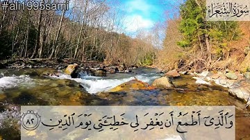 ﴿ قَالَ أَفَرَأَيْتُم مَّا كُنتُمْ تَعْبُدُونَ﴾ تلاوة شجية ومؤثرة من سورة الشعراء | الشيخ ثامر الزير