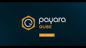 Payara Qube
