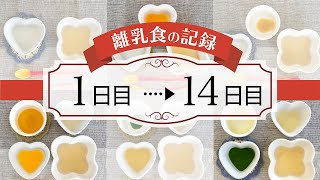 【離乳食の記録】1日目〜14日目（離乳食初期・ゴックン期）