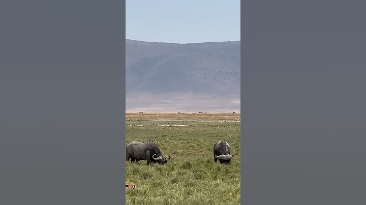 Beautiful Tanzania, Ngorongoro Crater. #wildlife #wildanimals #animals #tanzania