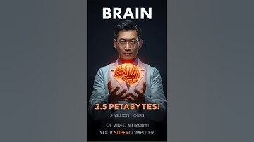 Mind-Blowing Brain Facts You Didn’t Know! 🧠 | Supercomputer Inside Your Head