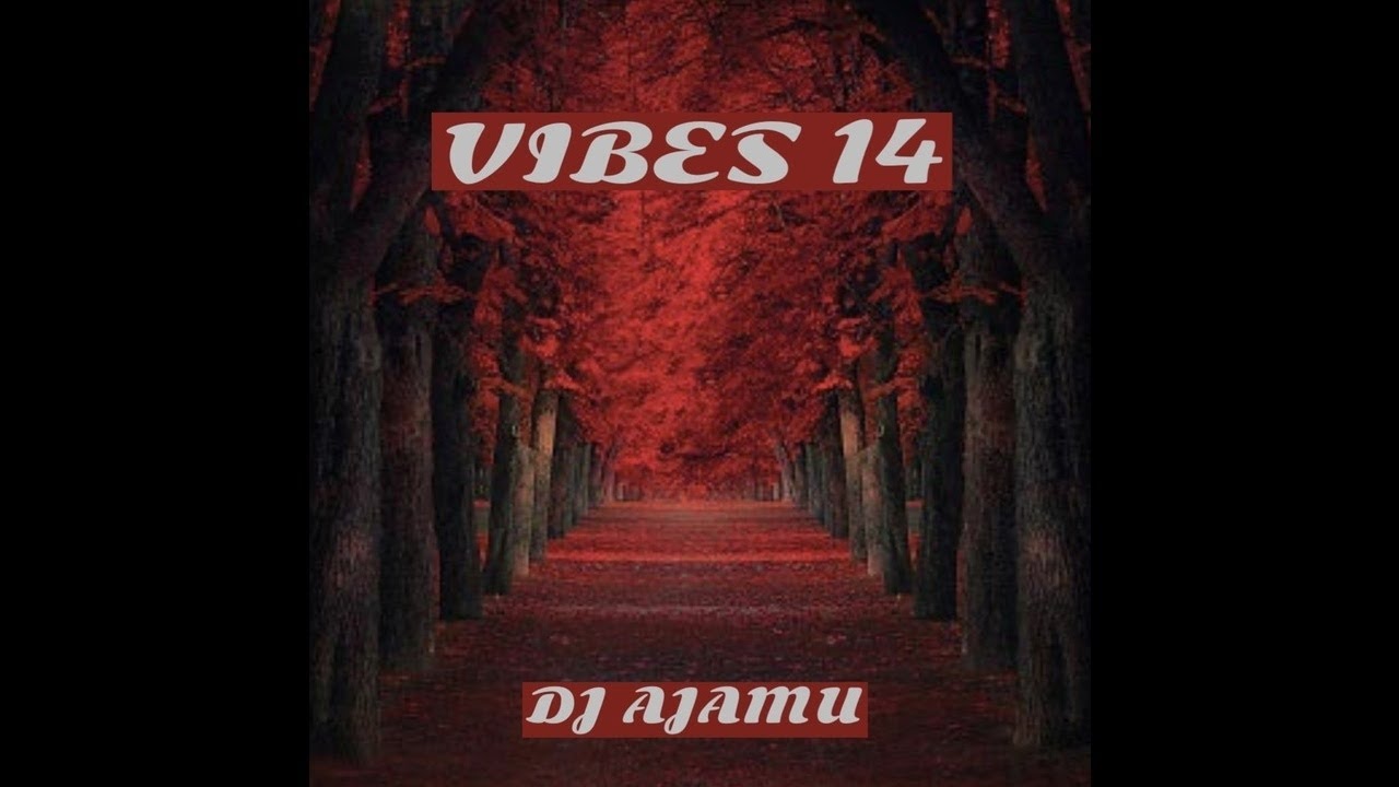 VIBES 14