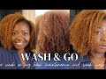 A Week in My Wash and Go on Fine Type 4 Color Treated Natural Hair