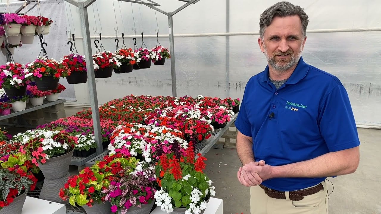 Beacon Impatiens Updates for Spring 2022