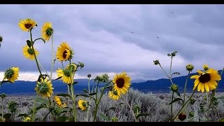 Land of Enchantment . "As I Figure" by Kevin MacLeod