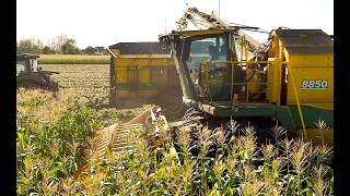 Clearing A Sweet Corn Picker In Rice MN, Sep 17 2026.
