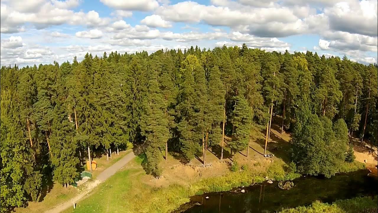 Лялин луг Сиверский. Сиверская Оредеж Лялин луг. Лялин луг Сиверский пляж. Лялин луг в Сиверской. Березка сиверский