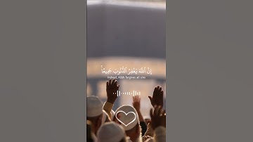 #تلاوة_خاشعة #راحة_نفسية #قرآن #الشيخ #ياسر_الدوسري #مصر 💚