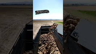 Bende Bunadan Keyi̇f Aliyorum